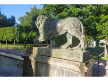 IMG 20240613 192422.jpg