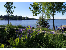 IMG 20240611 170709.jpg