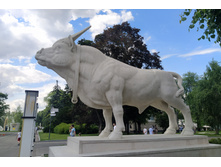 IMG 20240608 153212.jpg