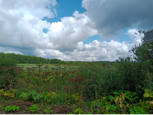 20240803 ������-200 ���������� 103217.jpg