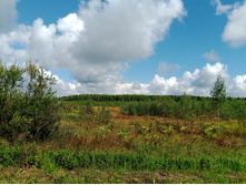 20240803 ������-200 ���������� 102551.jpg