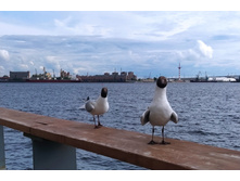 IMG 20240612 170810.jpg