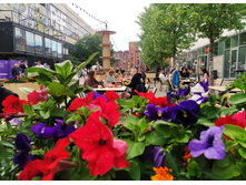 IMG 20240612 173432.jpg