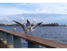 IMG 20240612 170804.jpg