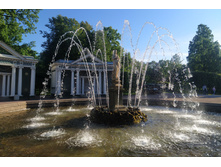 IMG 20240613 191457.jpg