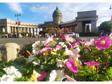 IMG 20240612 190044.jpg