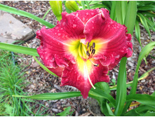 �������� ���� ����