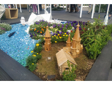 IMG 20240608 150852.jpg