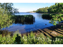 IMG 20240613 180129.jpg