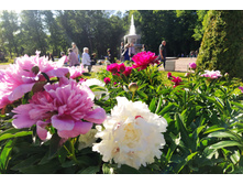 IMG 20240613 172205.jpg