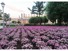 IMG 20240614 211710.jpg