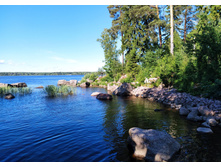 IMG 20240611 170615.jpg