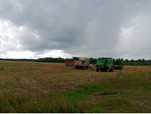 20240803 ������-200 ���������� 133315.jpg