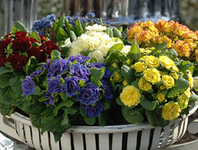 ����/����-�������, �9, 350 ���