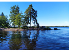 IMG 20240611 172034.jpg