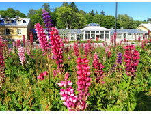 IMG 20240611 164626.jpg