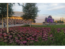 IMG 20240614 202731.jpg