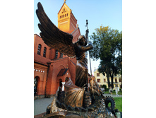 IMG 20240802 202612.jpg