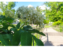 IMG 20240608 165950.jpg