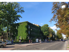 IMG 20240731 180409.jpg