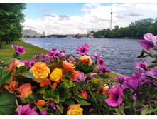 IMG 20240612 142828.jpg