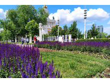 IMG 20240608 135751.jpg