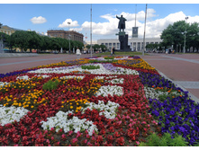 IMG 20240611 125929.jpg