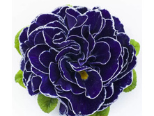 ������� Belarina Galaxy 295 ���