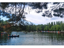 IMG 20240615 174916.jpg