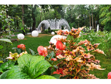 IMG 20240726 162535.jpg