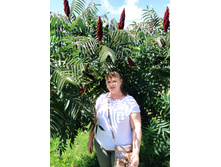 IMG 20240731 135808.jpg