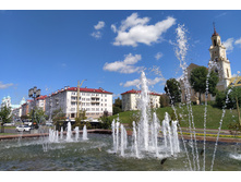 IMG 20240731 143615.jpg