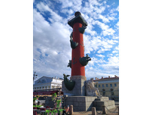 IMG 20240610 182453.jpg