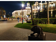 IMG 20240726 221855.jpg