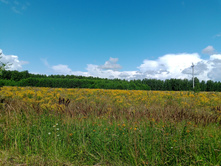 20240803 ������-200 ���������� 115705.jpg