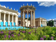 IMG 20240608 142521.jpg