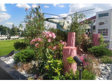 IMG 20240608 150131.jpg