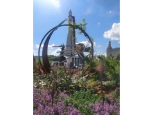 IMG 20240608 145341.jpg