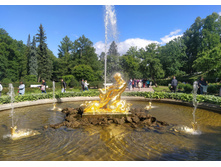 IMG 20240613 160250.jpg