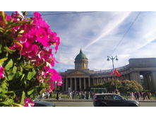 IMG 20240612 185950.jpg