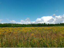 20240803 ������-200 ���������� 115700.jpg