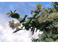 IMG 20240611 195736.jpg