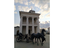 IMG 20240801 200503.jpg