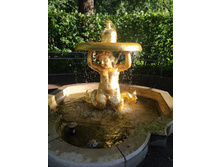 IMG 20240613 193849.jpg