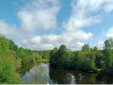 20240803 ������-200 ���������� 092349.jpg