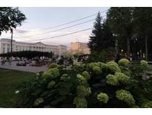 IMG 20240726 210246.jpg