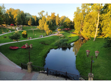 IMG 20240730 202233.jpg