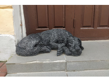 IMG 20240728 182553.jpg