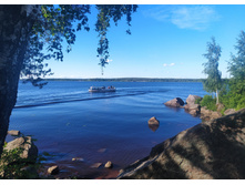 IMG 20240611 175725.jpg