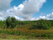 20240803 ������-200 ���������� 102553.jpg